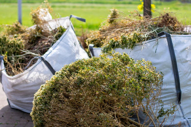 Best Hoarding Cleanup  in Tusculum, TN